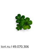 Green clovers on white with shadow, decoration for greeting cards. St Patricks day vector design. Стоковая иллюстрация, агентство Ingram Publishing / Фотобанк Лори