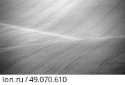 Czech Moravia hills. Agriculture . Arable lands in spring. Стоковое фото, агентство Ingram Publishing / Фотобанк Лори