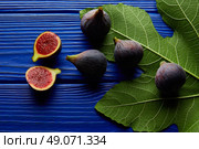figs raw cutted fruits and fig tree leaves on blue wooden table. Стоковое фото, агентство Ingram Publishing / Фотобанк Лори