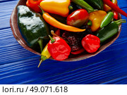 Mexican hot chili peppers colorful mix habanero poblano serrano jalapeno sweet. Стоковое фото, агентство Ingram Publishing / Фотобанк Лори