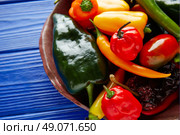 Mexican hot chili peppers colorful mix habanero poblano serrano jalapeno sweet. Стоковое фото, агентство Ingram Publishing / Фотобанк Лори