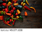 Mexican hot chili peppers colorful mix habanero poblano serrano jalapeno on wood. Стоковое фото, агентство Ingram Publishing / Фотобанк Лори