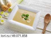 vichyssoise cream soup with leeks on white wood table. Стоковое фото, агентство Ingram Publishing / Фотобанк Лори
