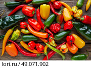 Mexican hot chili peppers colorful mix habanero poblano serrano jalapeno on wood. Стоковое фото, агентство Ingram Publishing / Фотобанк Лори