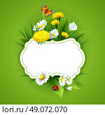 Fresh spring background with grass, dandelions and daisies. Vector. Стоковая иллюстрация, агентство Ingram Publishing / Фотобанк Лори