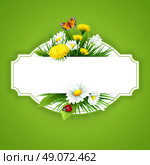 Fresh spring background with grass, dandelions and daisies. Vector. Стоковая иллюстрация, агентство Ingram Publishing / Фотобанк Лори