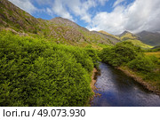 Five Sisters of Kintail from Shiel Bridge, Glen Shiel, Scotland. Стоковое фото, агентство Ingram Publishing / Фотобанк Лори