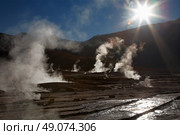 Geyser field El Tatio in Atacama region, Chile. Стоковое фото, агентство Ingram Publishing / Фотобанк Лори