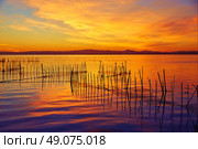 La Albufera lake sunset in El Saler of Valencia at Spain. Стоковое фото, агентство Ingram Publishing / Фотобанк Лори