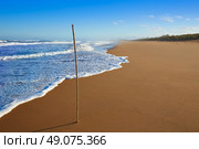 Tavernes de Valldigna beach dunes in Valencia of Spain. Стоковое фото, агентство Ingram Publishing / Фотобанк Лори