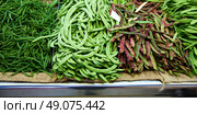 Varied green Beans from Mediterranean in Valencia Spain. Стоковое фото, агентство Ingram Publishing / Фотобанк Лори