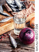Glass of vodka,smoked sprat,spices in a rustic traditional russian style. Стоковое фото, агентство Ingram Publishing / Фотобанк Лори