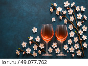 Two rose wine glasses surrounded by delicate cherry blossom branches on textured dark blue surface creating elegant romantic spring celebration mood. Стоковое AI-изображение, AI-художник Павел Муравьев / Фотобанк Лори