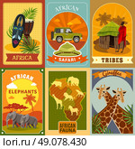 Safari Posters Set.  African safari cartoon posters set with tribes and fauna symbols isolated vector illustration . Стоковая иллюстрация, агентство Ingram Publishing / Фотобанк Лори