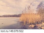 Lake in the winter with reeds and rocks. Стоковое фото, агентство Ingram Publishing / Фотобанк Лори