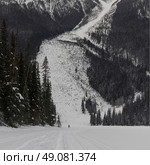 Tourist skiing in snow covered valley, Emerald Lake, Yoho National Park, British Columbia, Canada. Стоковое фото, агентство Ingram Publishing / Фотобанк Лори