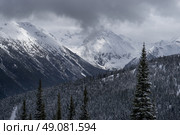 View of snowcapped mountains in winter, Whistler Mountain, British Columbia, Canada. Стоковое фото, агентство Ingram Publishing / Фотобанк Лори