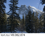 Snow covered mountains with trees in winter, Emerald Lake, Yoho National Park, British Columbia, Canada. Стоковое фото, агентство Ingram Publishing / Фотобанк Лори