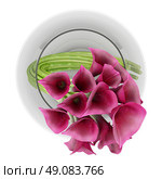 top view of calla lilies in glass vase isolated on white background. Стоковое фото, агентство Ingram Publishing / Фотобанк Лори
