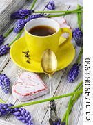 Tea and hyacinths. Stylish wooden tray with a mug of tea scattered with fresh hyacinths. Стоковое фото, агентство Ingram Publishing / Фотобанк Лори