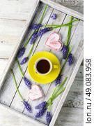 Tea and hyacinths. Stylish wooden tray with a mug of tea scattered with fresh hyacinths.Top view. Стоковое фото, агентство Ingram Publishing / Фотобанк Лори