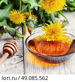 Dandelion honey. Saucer therapeutic honey made from dandelions in national recipe. Стоковое фото, агентство Ingram Publishing / Фотобанк Лори