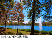 Houston Hermann park conservancy Mcgovern lake at autumn in Texas. Стоковое фото, агентство Ingram Publishing / Фотобанк Лори