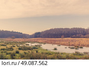 Flooded field with ice and green grass. Стоковое фото, агентство Ingram Publishing / Фотобанк Лори