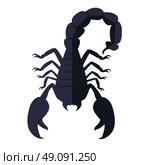 Scorpion Animal Isolated on White Background. Scorpion animal isolated on white background. Deadly poisonous black scorpion with a sharp tip and strong powerful claws on backdrop. Sign of the zodiac astrological symbol. Vector illustration. Стоковая иллюстрация, агентство Ingram Publishing / Фотобанк Лори
