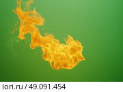 Orange Red Flames Engulf on green screen background. Vibrant fire animated on green backdrop. Burning flame animation. Frame Template. Chroma key. Motion graphics. Creative video for overlay. Inferno. Стоковое AI-изображение, AI-художник Марина Демидюк / Фотобанк Лори