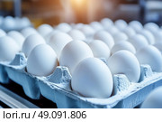 Chicken Eggs on a conveyor belt. Hatching and poultry farming. Egg factory industry. Egg selection process and grading production line with fresh eggs. Automated business, organic farming concept. Стоковое AI-изображение, AI-художник Марина Демидюк / Фотобанк Лори