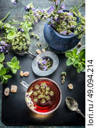 Cup of herbal tea with tea tools and various fresh herbs on dark aged background, top view. Healthy drinks, detox or clean food concept. Стоковое фото, агентство Ingram Publishing / Фотобанк Лори