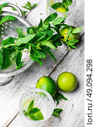 Iron bowl with the collected fresh mint and drink with lime. Стоковое фото, агентство Ingram Publishing / Фотобанк Лори