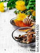 Healing dandelion root. bowl of healing infusion of the flower and the root and spring of the dandelion. Стоковое фото, агентство Ingram Publishing / Фотобанк Лори