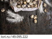 Basket with quail  eggs and feathers on rustic wooden background, top view, horizontal. Стоковое фото, агентство Ingram Publishing / Фотобанк Лори