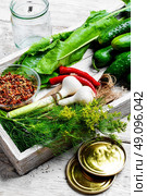 yield of cucumber,pepper,spices and fennel for pickling. Стоковое фото, агентство Ingram Publishing / Фотобанк Лори