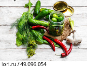 yield of cucumber,pepper,spices and fennel for pickling. Стоковое фото, агентство Ingram Publishing / Фотобанк Лори