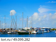 Key West Florida marina in Garrison Bight of Florida USA. Стоковое фото, агентство Ingram Publishing / Фотобанк Лори