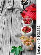 Fruit tea with raspberries,currants in the red stylish kettle. Стоковое фото, агентство Ingram Publishing / Фотобанк Лори