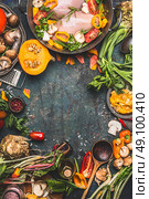 Chicken breast with Pumpkin , flavoring and organic garden vegetables ingredients, cooking preparation on dark rustic background, top view, frame. Стоковое фото, агентство Ingram Publishing / Фотобанк Лори