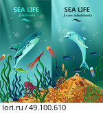 Sea Underwater Life Vertical Banners. Colorful vertical sea life banners with peace and predator inhabitants of underwater coral reefs flat vector illustration . Стоковая иллюстрация, агентство Ingram Publishing / Фотобанк Лори