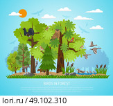 Poster Of Birds In Forest. Forest poster with different trees pond various birds and few animals on blue background flat vector illustration. Стоковая иллюстрация, агентство Ingram Publishing / Фотобанк Лори