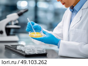 Scientist in laboratory coat using pipette to transfer liquid into petri dish, surrounded by various samples, showcasing meticulous research and experimentation in a modern lab environment. Стоковое AI-изображение, AI-художник Ирина Ручушкина / Фотобанк Лори
