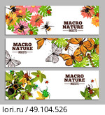 Insects Horizontal Banners. Insects horizontal banners of wasps butterflies bugs beetles and others on flowers and leaves doodle vector illustration. Стоковая иллюстрация, агентство Ingram Publishing / Фотобанк Лори