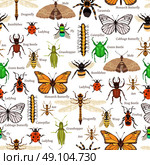 Insects Seamless Pattern. Insects Seamless Pattern. Insects Flat Vector Illustration. Insects Decorative Design.  Insects Elements Collection. Стоковая иллюстрация, агентство Ingram Publishing / Фотобанк Лори