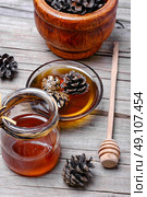 jam from the young fir cones. Healing jam made from fir cones to help against colds. Стоковое фото, агентство Ingram Publishing / Фотобанк Лори
