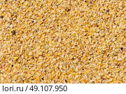 Light brown shelly sand background. Стоковое фото, агентство Ingram Publishing / Фотобанк Лори