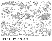 Coloring of underwater world. Aquarium with fish, octopus, corals, anchor, shells, stones, bottle with sailboat. Vector illustration. Стоковая иллюстрация, агентство Ingram Publishing / Фотобанк Лори