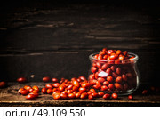 Fresh Goji berries in glass jar on dark wooden background, side view. Стоковое фото, агентство Ingram Publishing / Фотобанк Лори