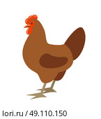 Cartoon chicken. Farmer isolated bird. Vector. Стоковая иллюстрация, агентство Ingram Publishing / Фотобанк Лори